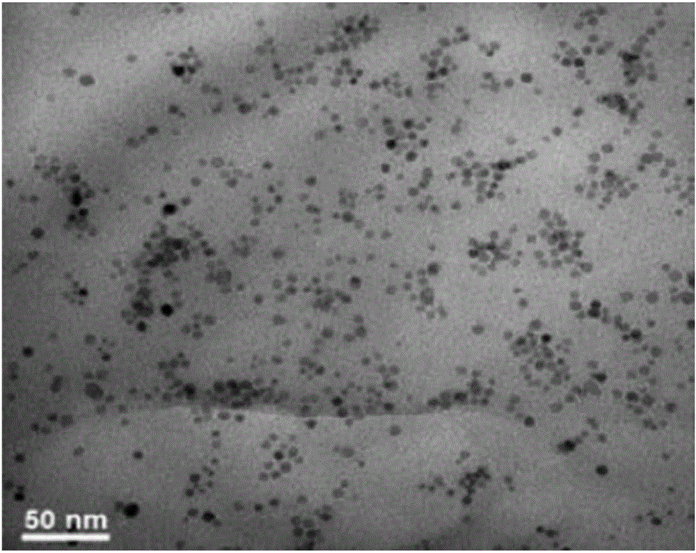 Laminated MoS2-Fe3O4 nano composite material and preparation method thereof