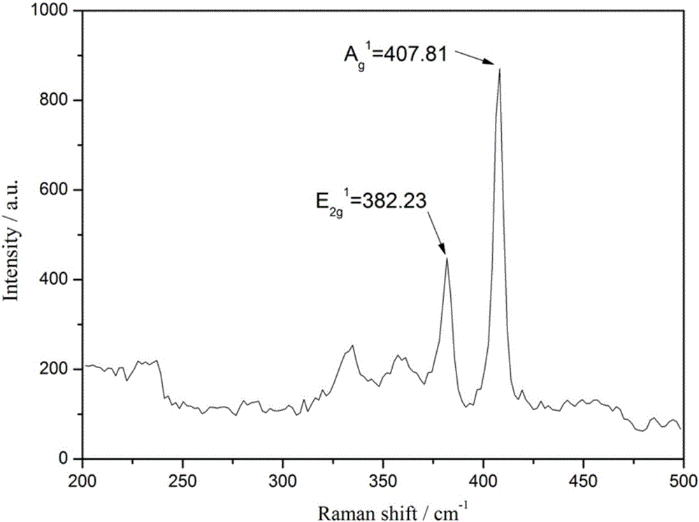 Laminated MoS2-Fe3O4 nano composite material and preparation method thereof