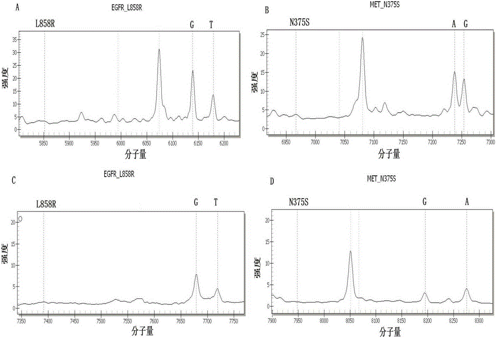 Lung cancer gene profile detection kit based on massarray mass spectrometry platform iplex analysis