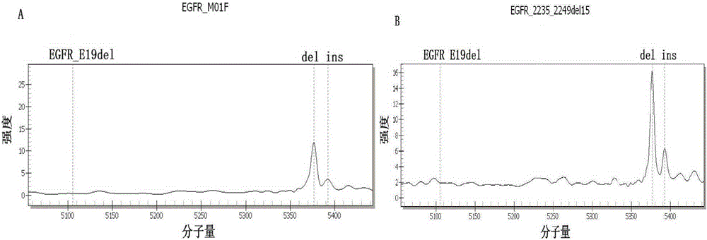 Lung cancer gene profile detection kit based on massarray mass spectrometry platform iplex analysis