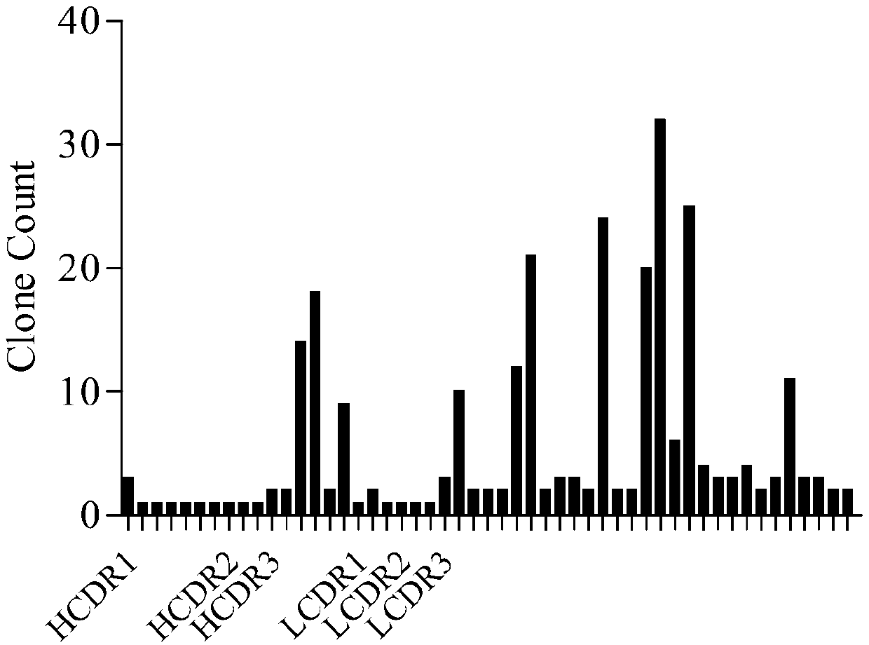 Anti-CD19 antibody and preparation method and use thereof