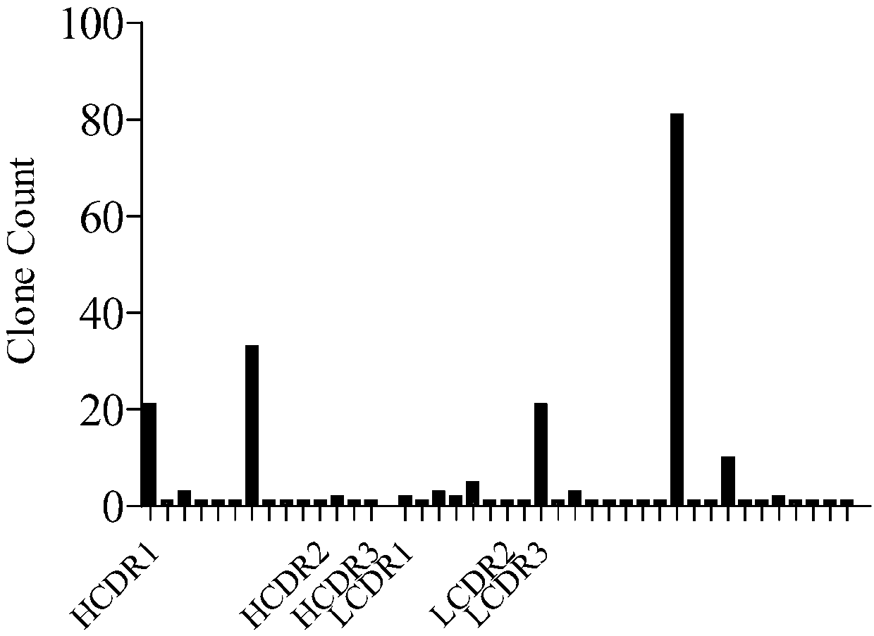 Anti-CD19 antibody and preparation method and use thereof