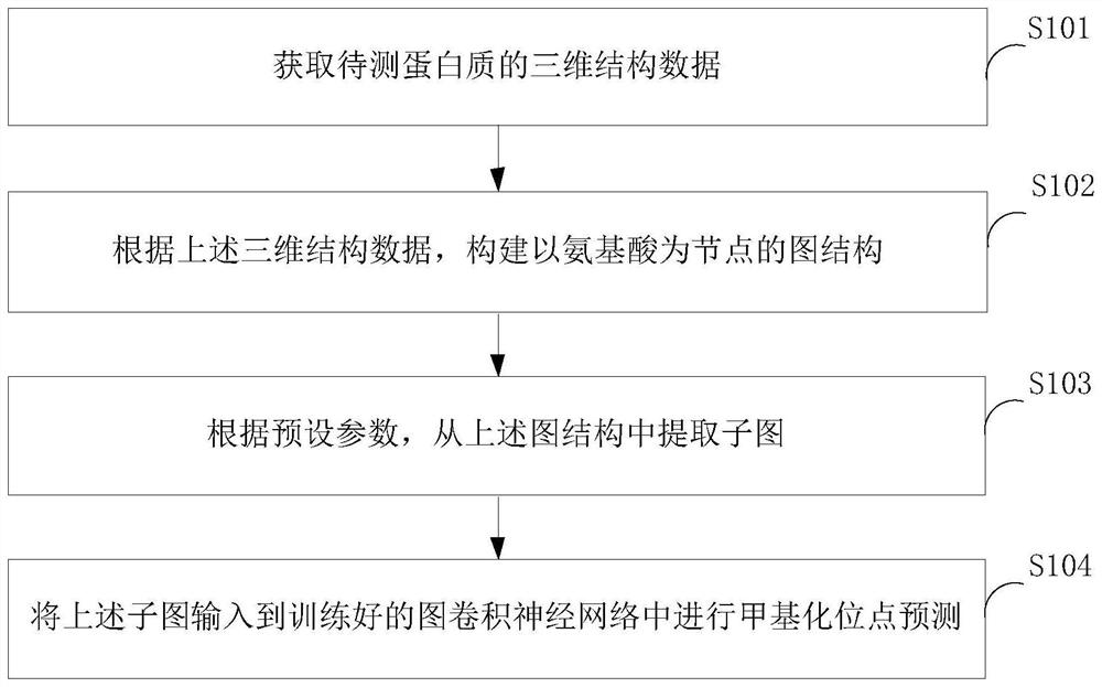 Protein methylation site prediction method, device and equipment