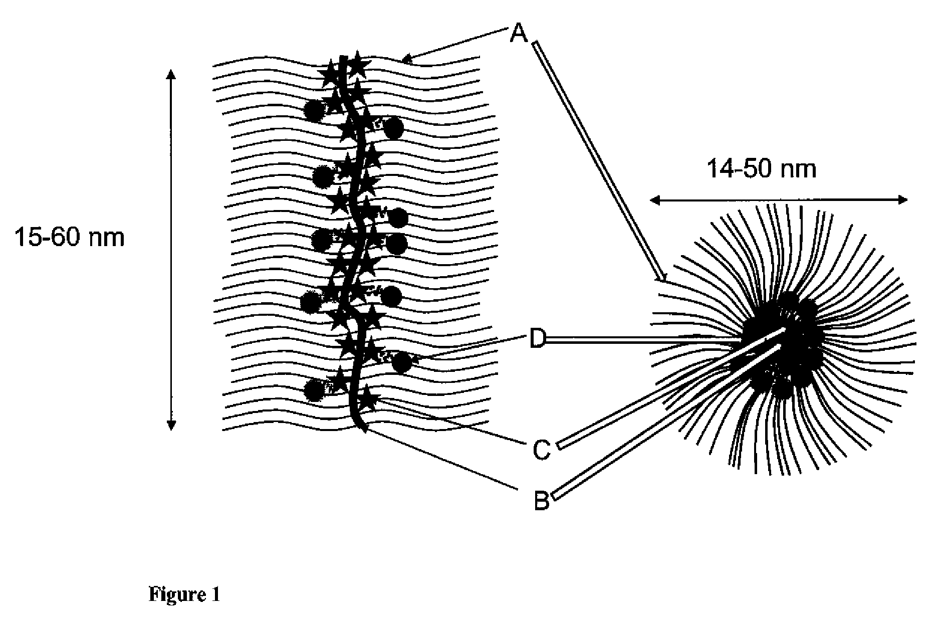 Cationic-Core Carrier Compositions for Delivery of Therapeutic Agents, Methods of Making and Using the Same