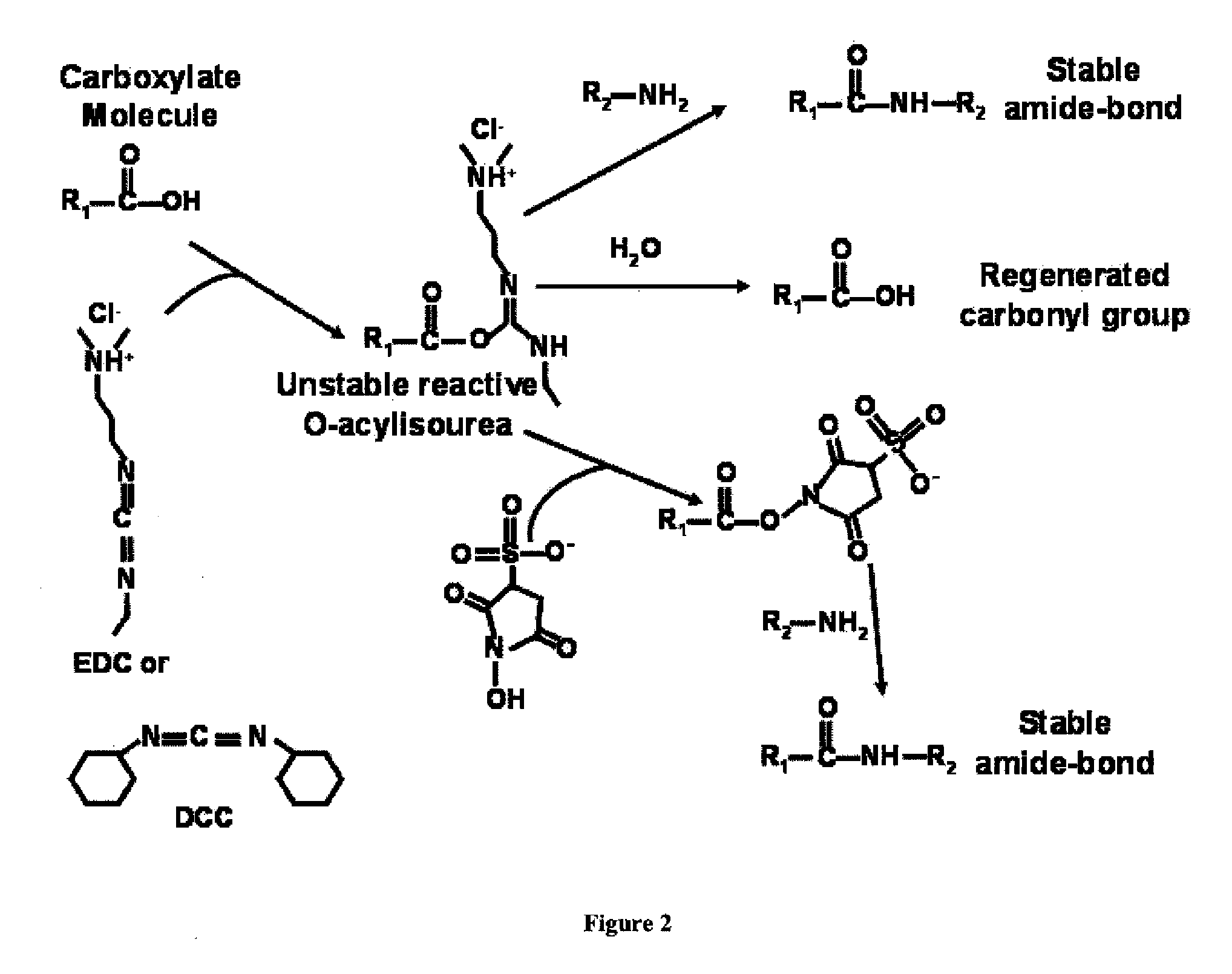 Cationic-Core Carrier Compositions for Delivery of Therapeutic Agents, Methods of Making and Using the Same