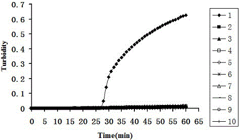 Streptococcus iniae loop-mediated isothermal amplification kit and application thereof