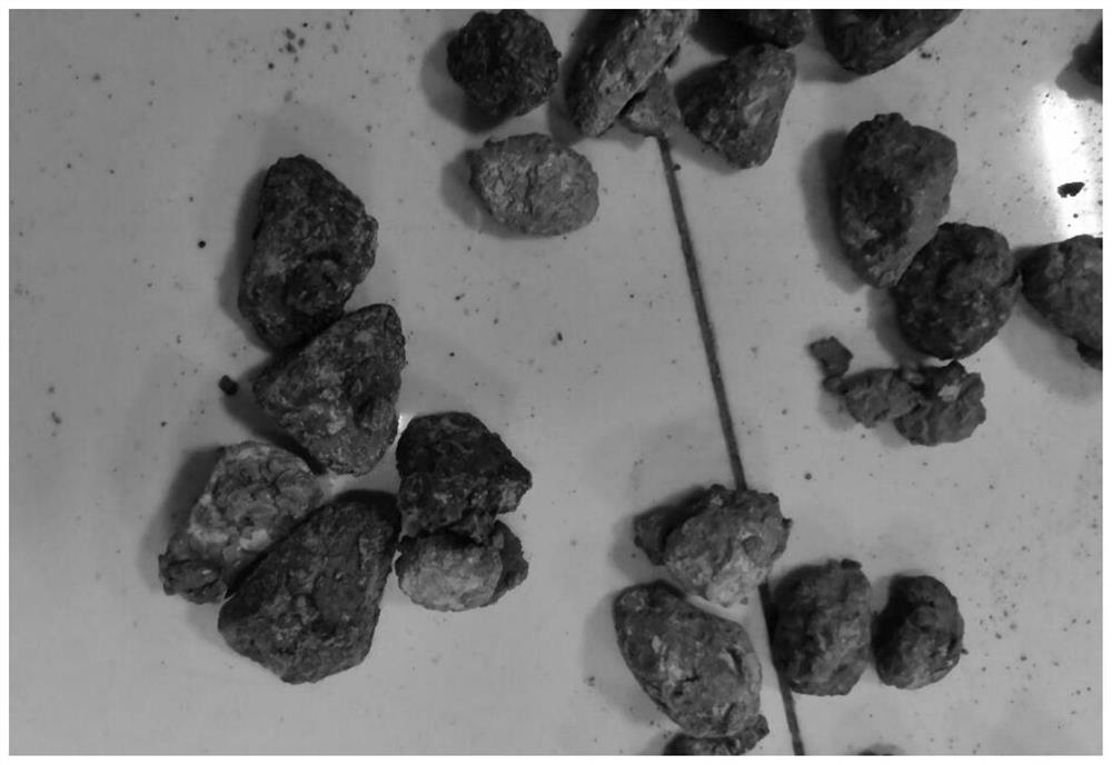 Modified recycled coarse aggregate, permeable water storage concrete and preparation method thereof