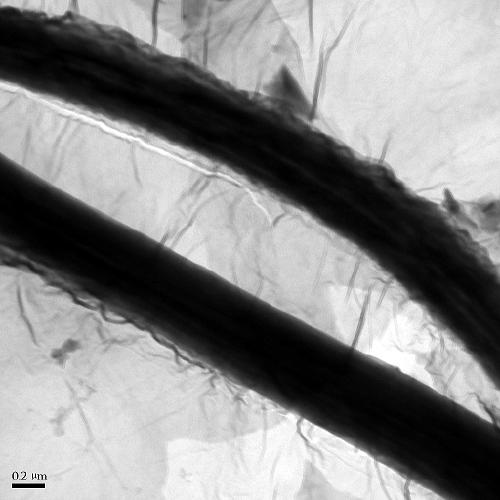 Electrospun nanofiber composite carbon aerogel and preparation method thereof