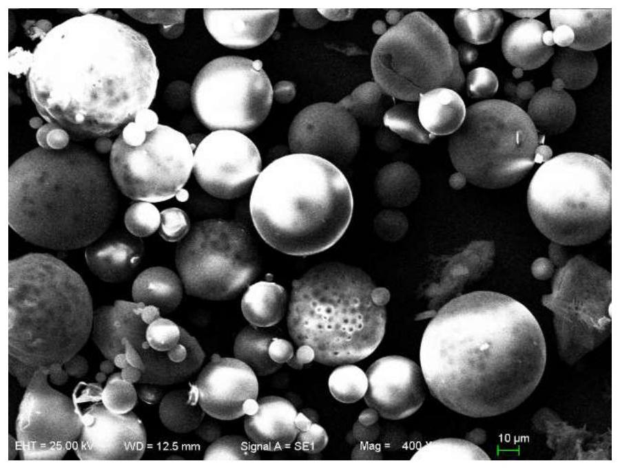 L-cepharanthine sustained-release microsphere and preparation method thereof