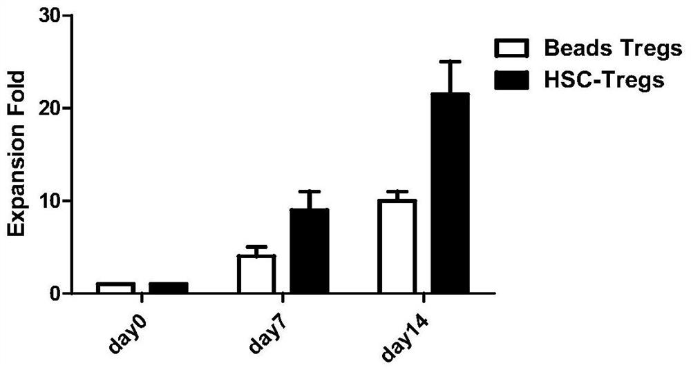 Method for inducing hematopoietic stem cells to differentiate into regulatory T cells in vitro