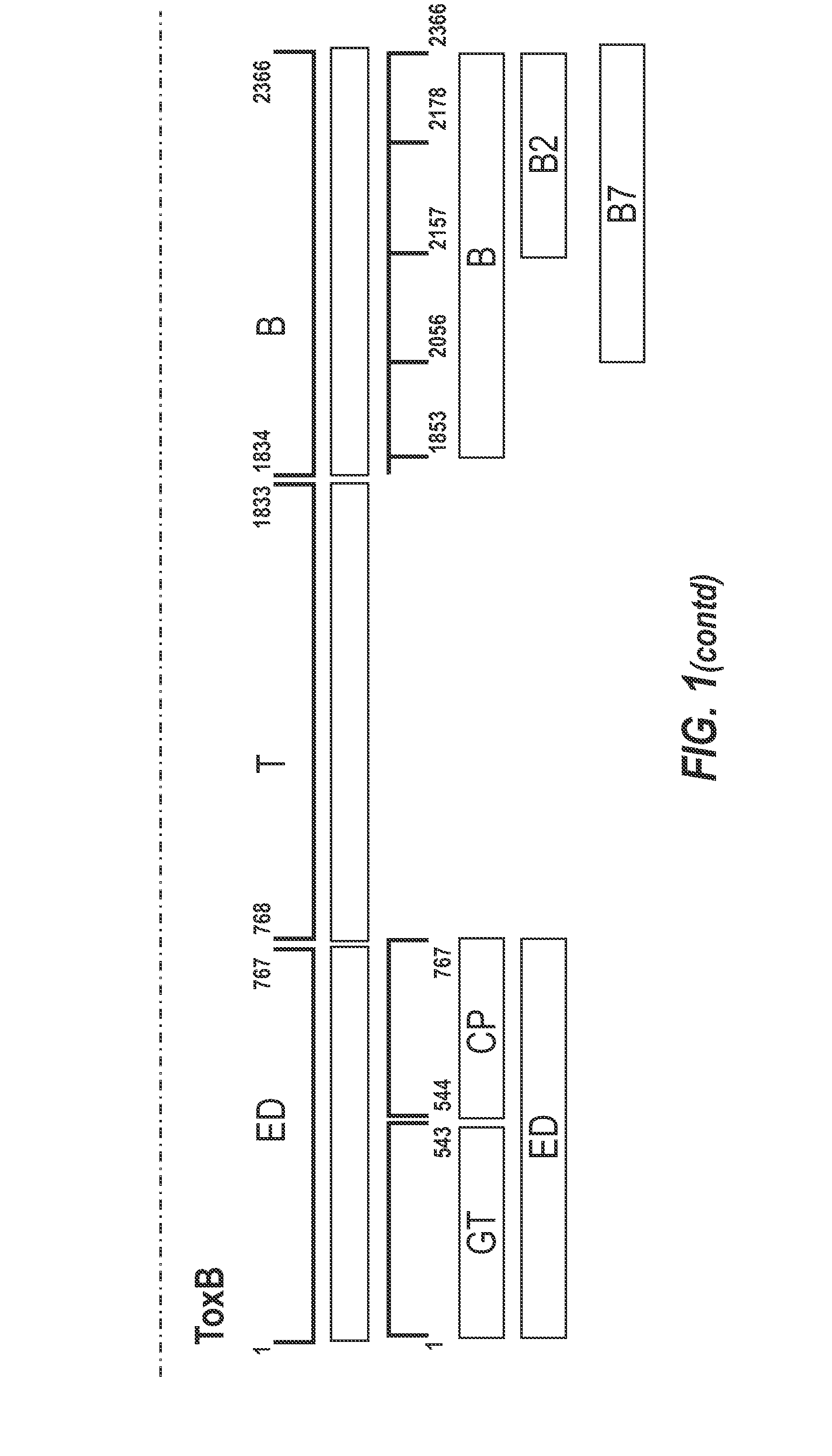 Clostridium difficile toxin-based vaccine