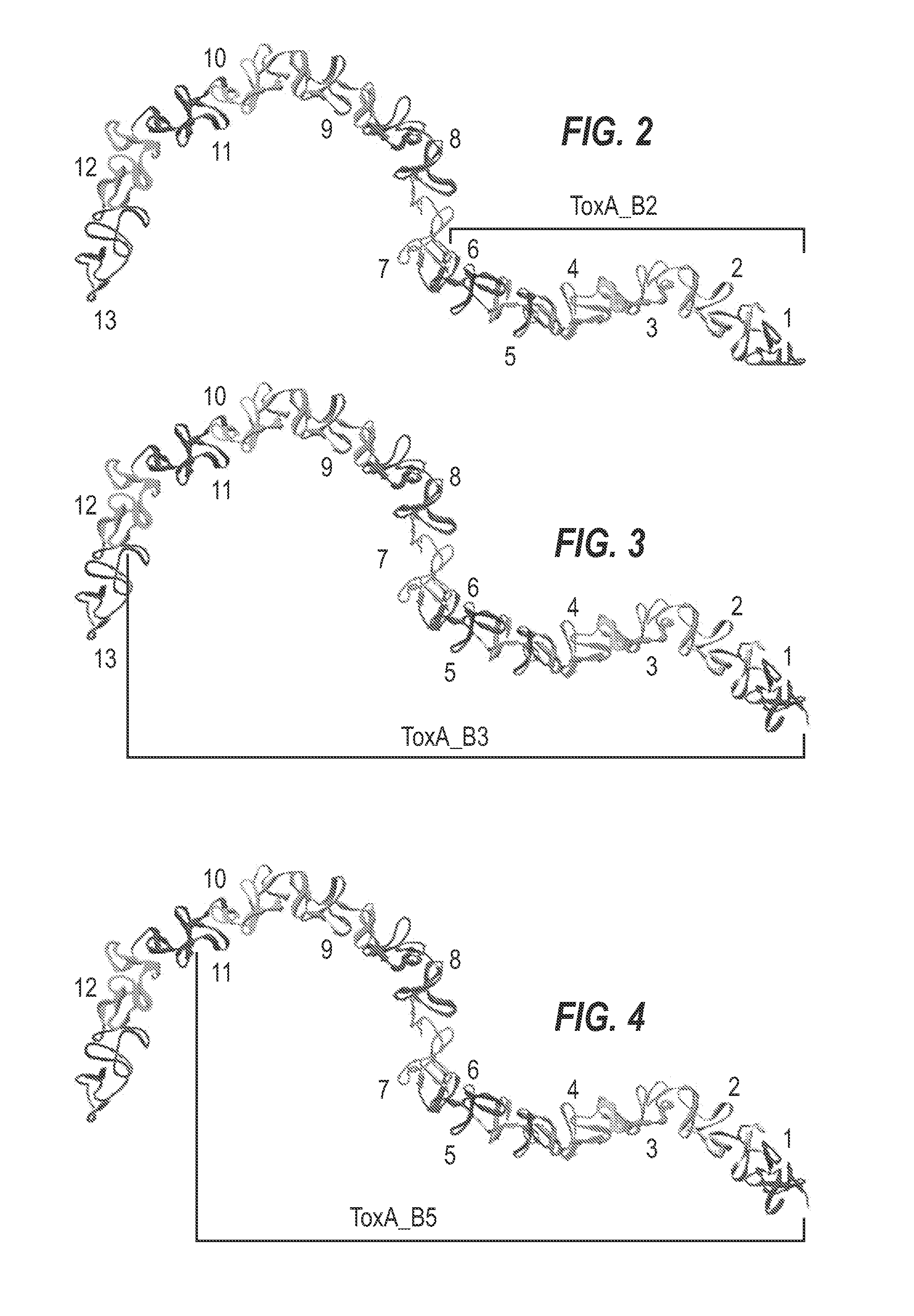 Clostridium difficile toxin-based vaccine