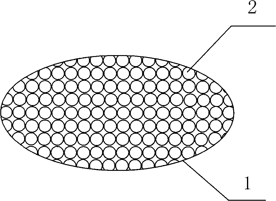 Micropore processing method of bone repairing body rough surface