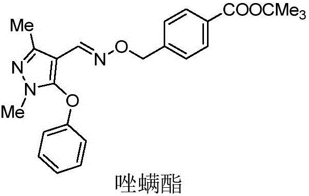 Preparation method and application of pyrazole oxime ether compound containing 4-Cl-3-ethyl-1-methylpyrazole structure