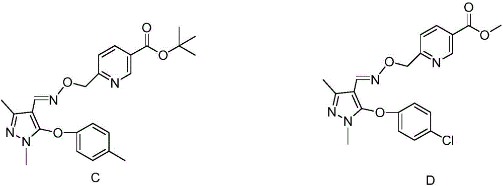 Preparation method and application of pyrazole oxime ether compound containing 4-Cl-3-ethyl-1-methylpyrazole structure