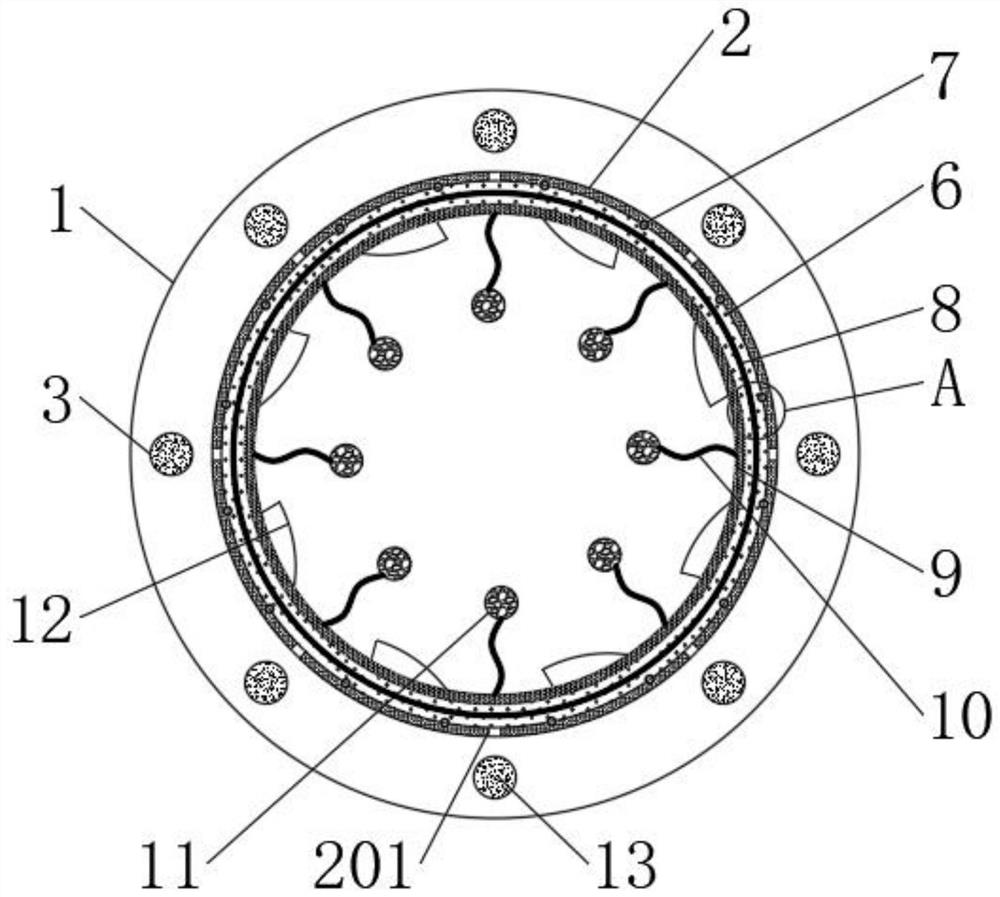 Water pipe purification device with self-repairing function