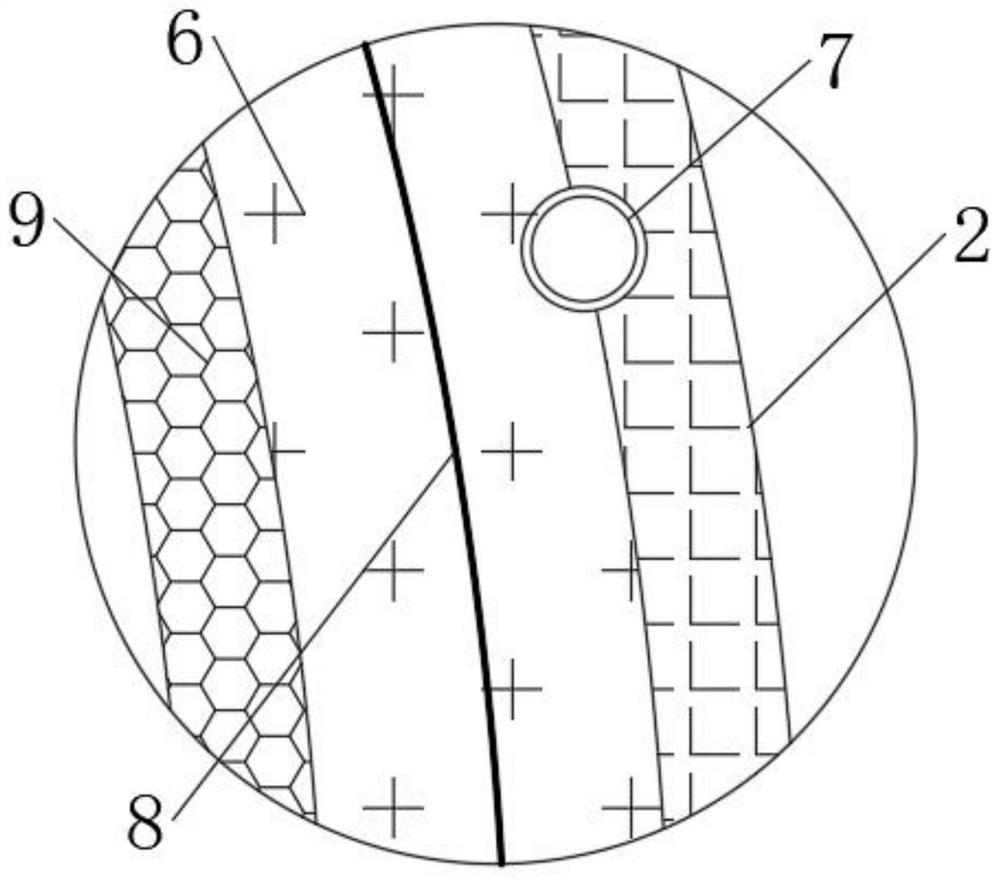 Water pipe purification device with self-repairing function