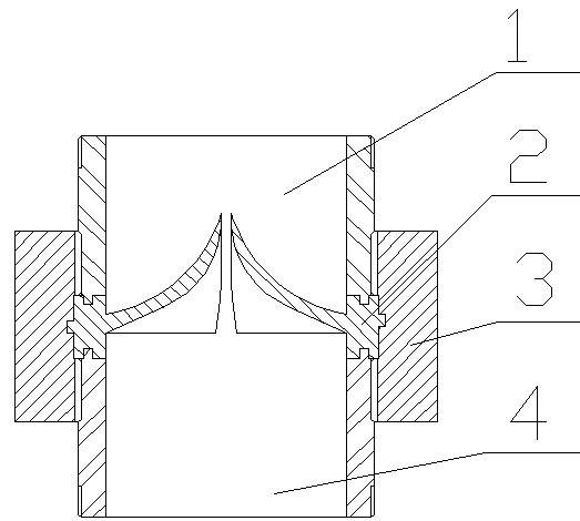 Check valve