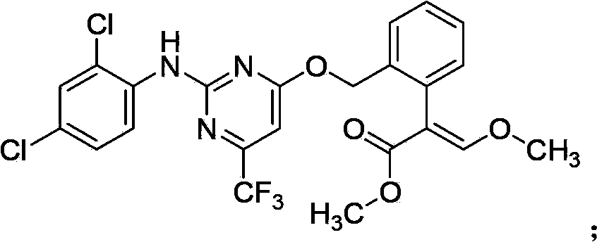 Insecticidal acaricidal composition and application thereof