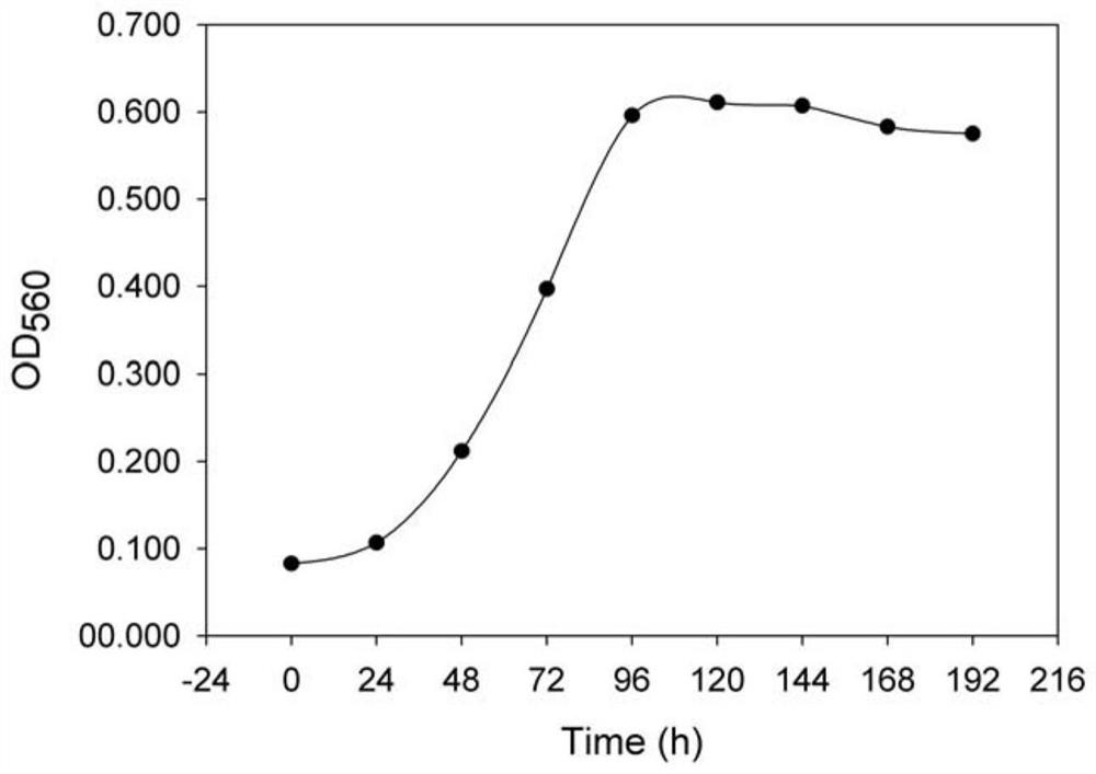 Ox-bile-tolerant bezoar transformation bacterium screening culture medium, preparation method and application