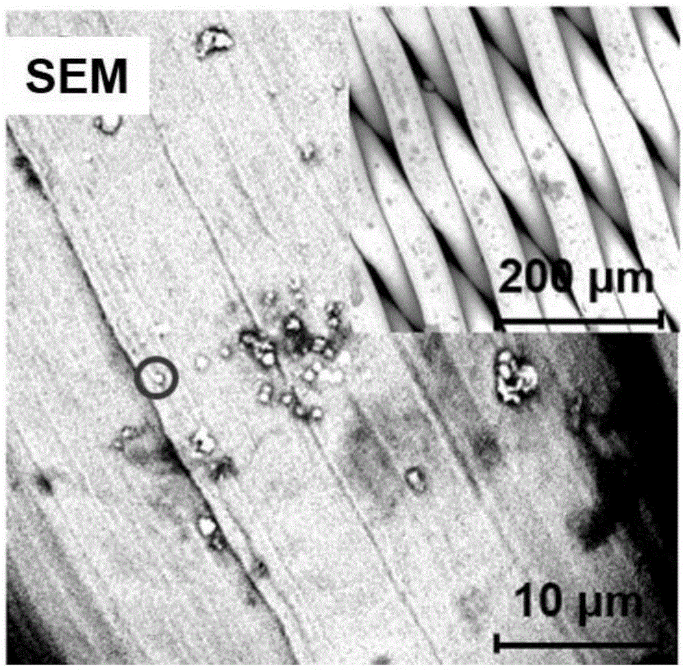 A kind of oil-water separation omentum with lead ion responsiveness and preparation method thereof