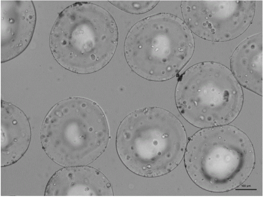 Preparation method of mono-dispersed gelatin embolic microsphere with precisely-controlled particle size