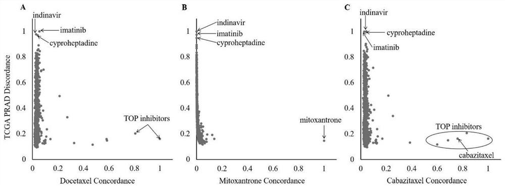 Prostate cancer drug combination prediction method based on transcriptomics