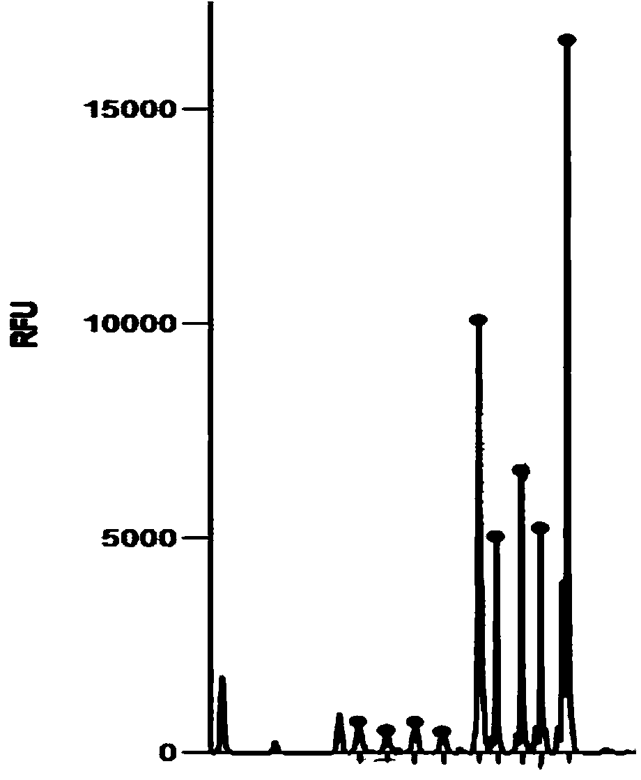 Novel probe design method for ligase reaction