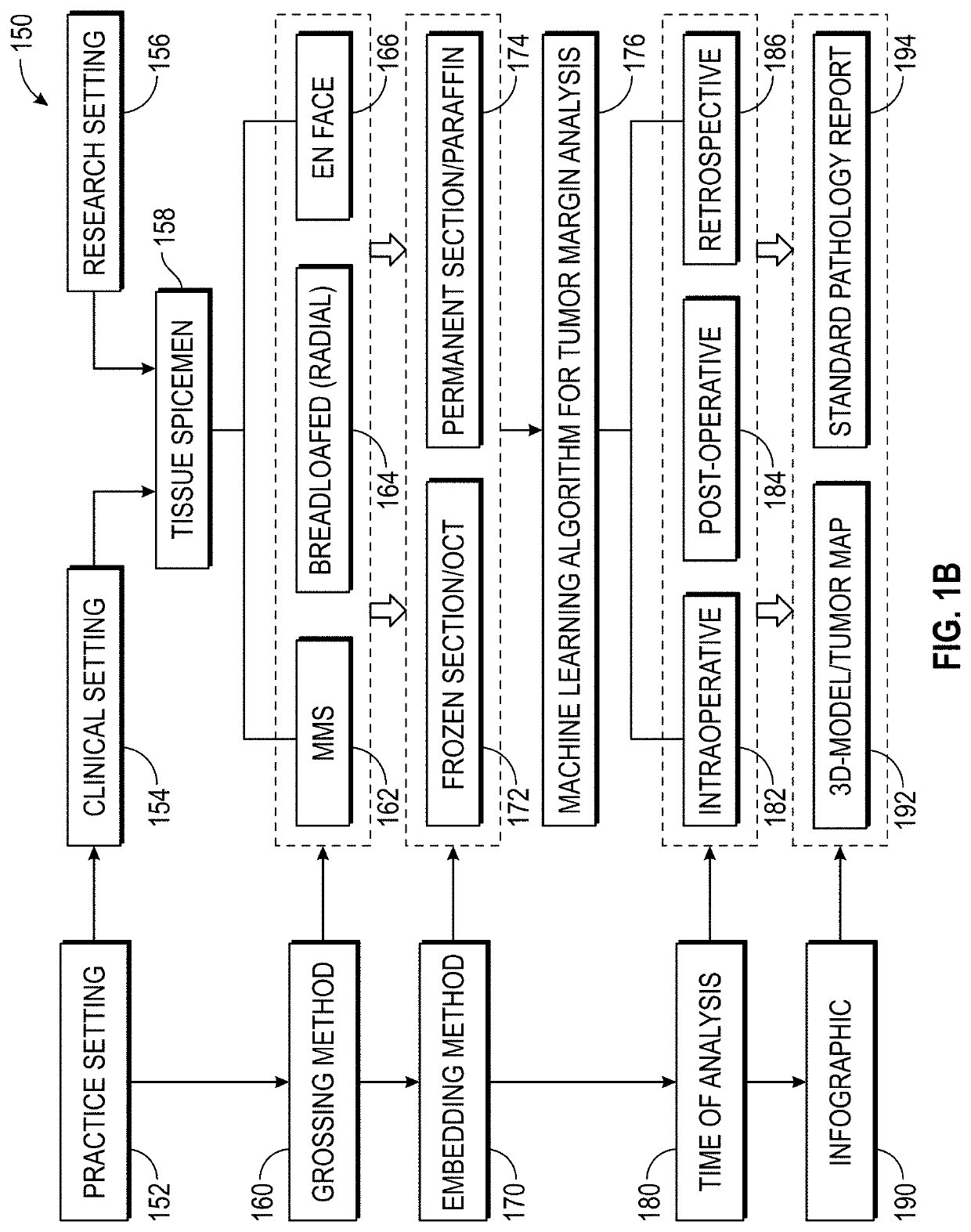 System and method for rapid and accurate histologic analysis of tumor margins using machine learning