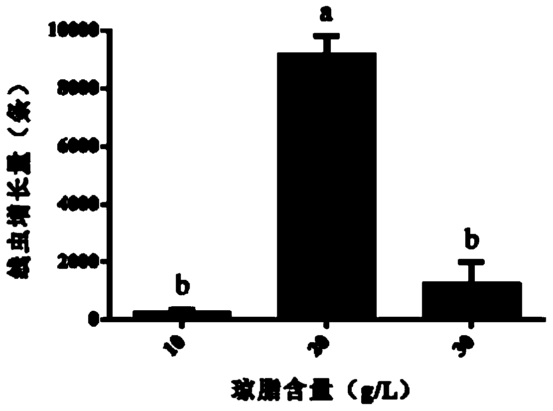 Culture medium for saprophiticnematode in infected wood of pine wood nematodes and preparation method and application of culture medium