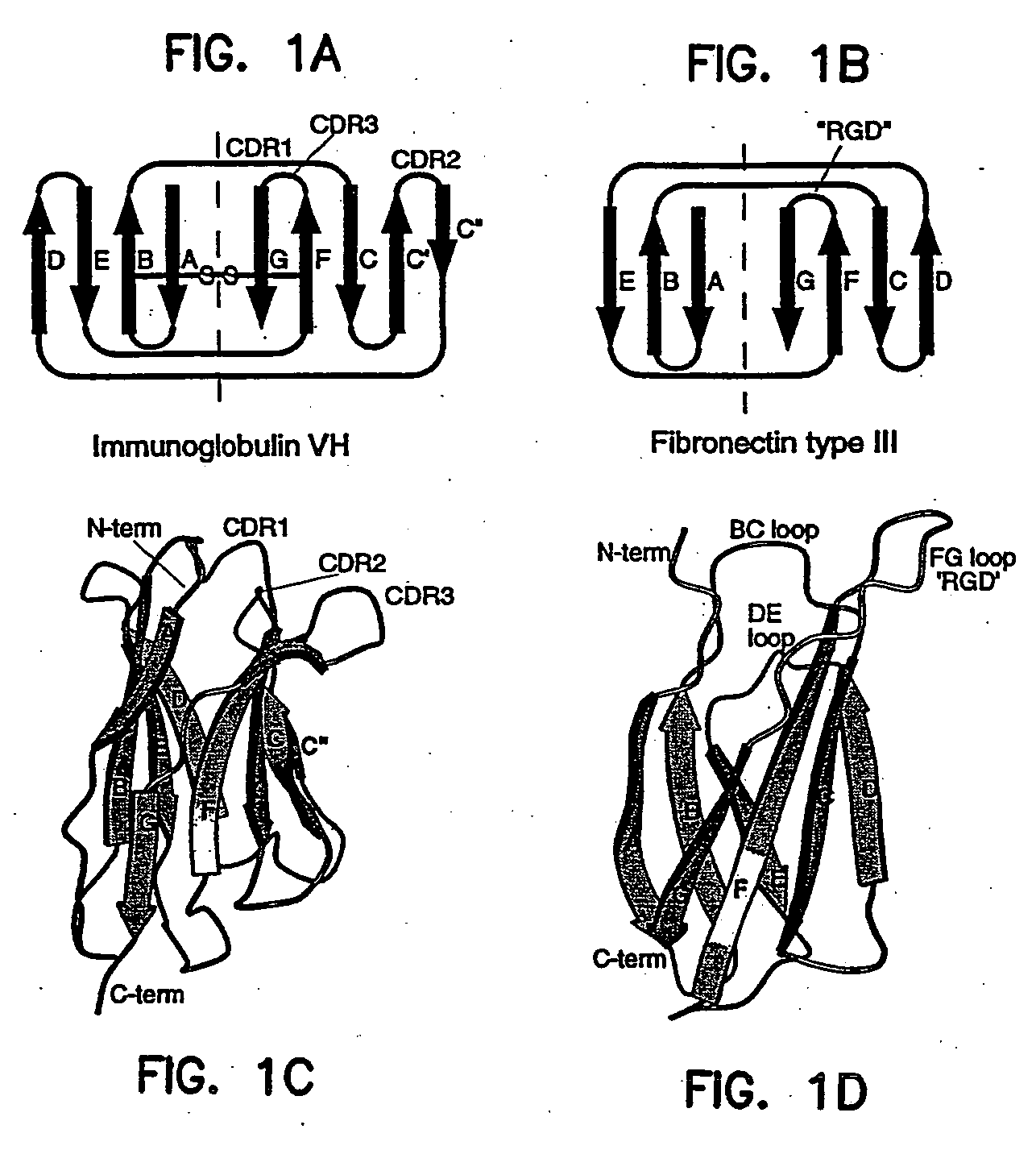 Artificial antibody polypeptides