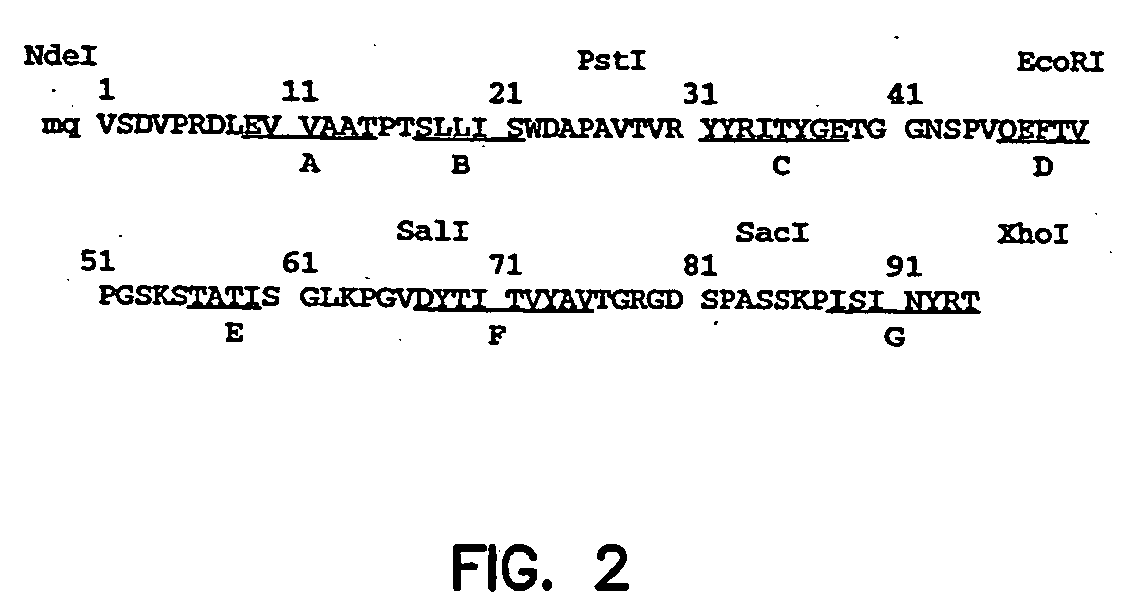 Artificial antibody polypeptides