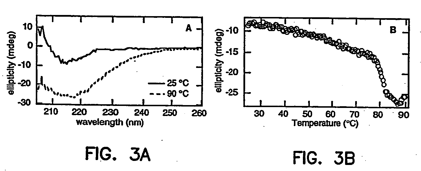 Artificial antibody polypeptides