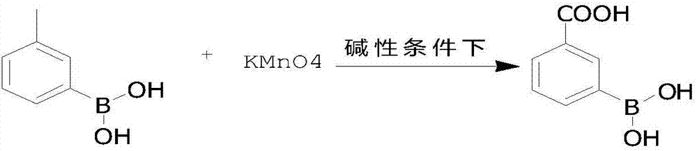 Preparation method for 3-carboxyphenylboronic acid