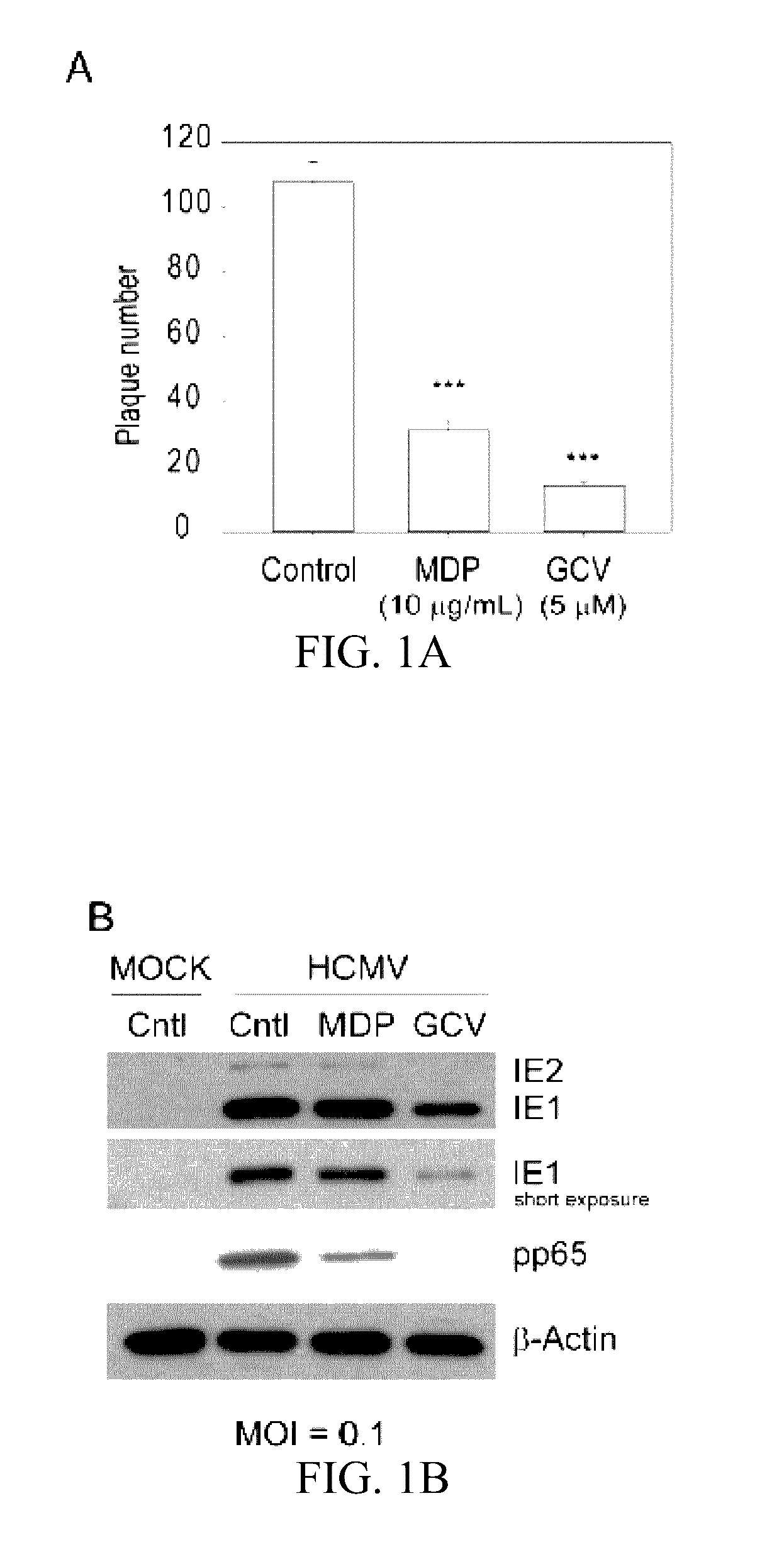 Vaccine adjuvants for cytomegalovirus prevention and treatment