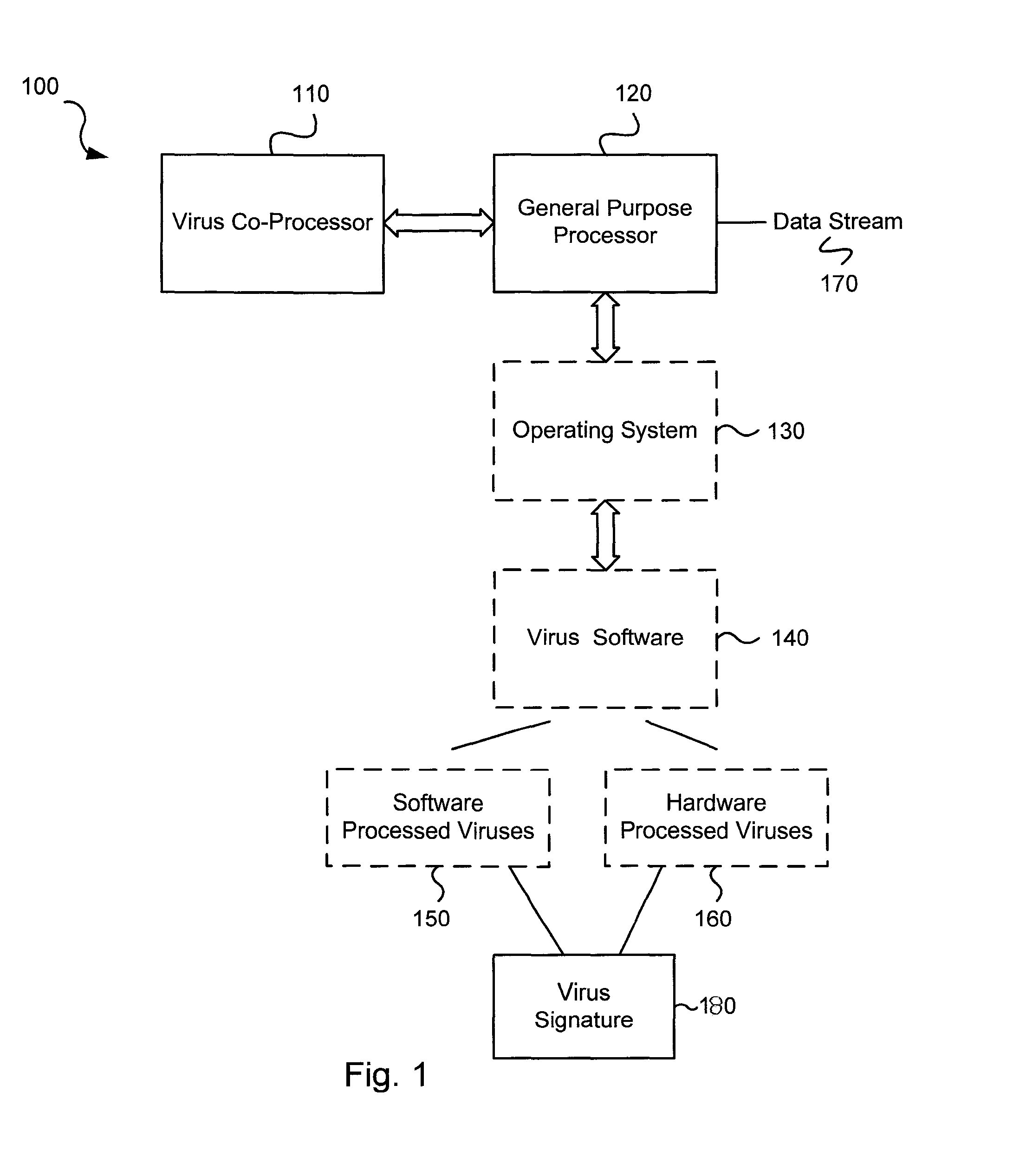 Virus co-processor instructions and methods for using such