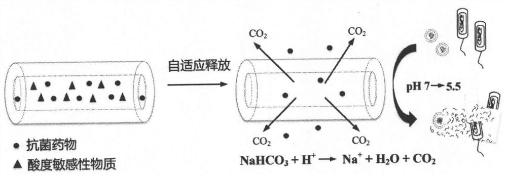 A kind of ph-sensitive long-acting repair medical dressing for chronic wound and preparation method thereof