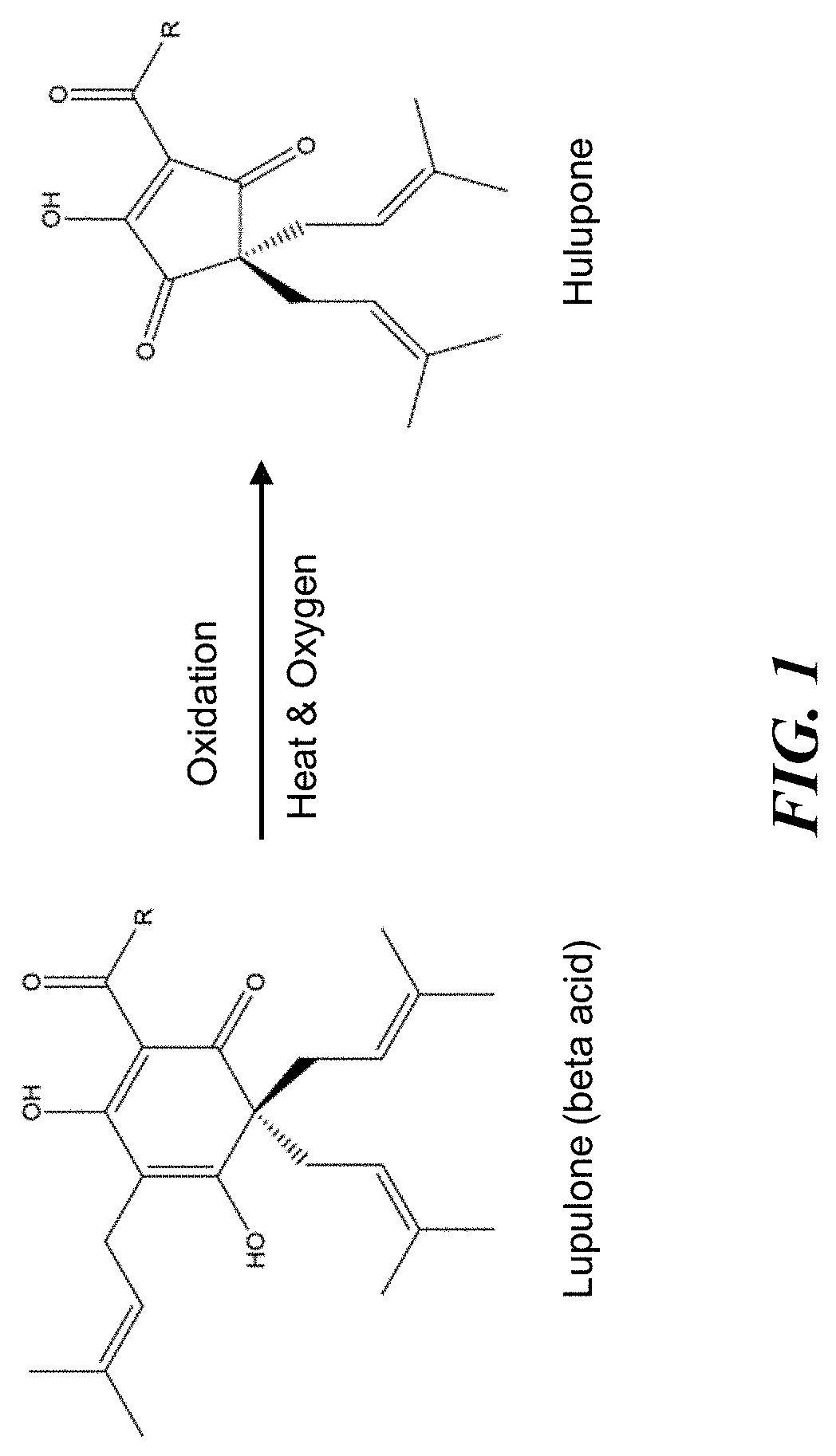 Compositions and methods for controlling a honey bee parasitic mite infestation