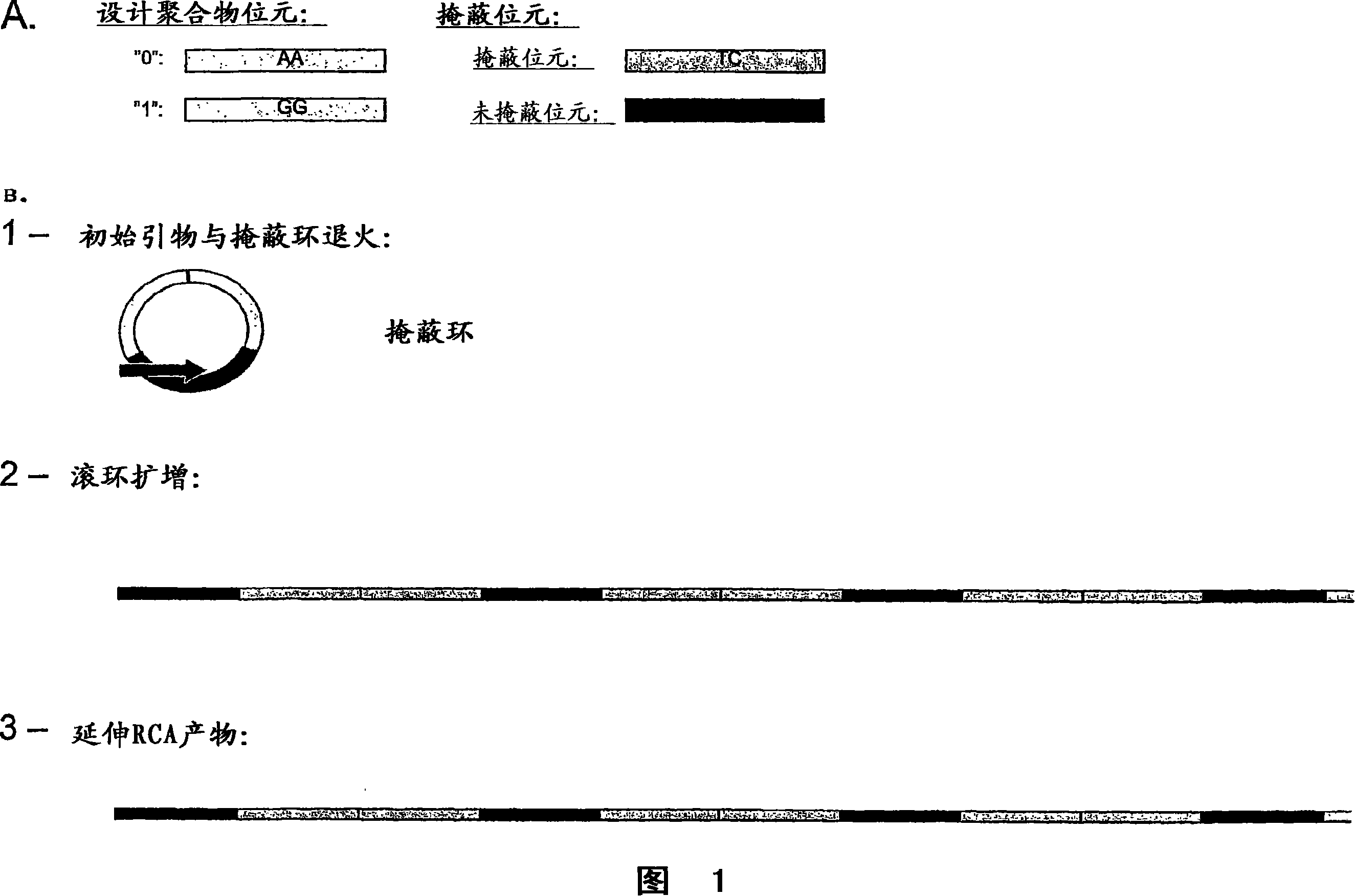 Method for preparing polynucleotides for analysis