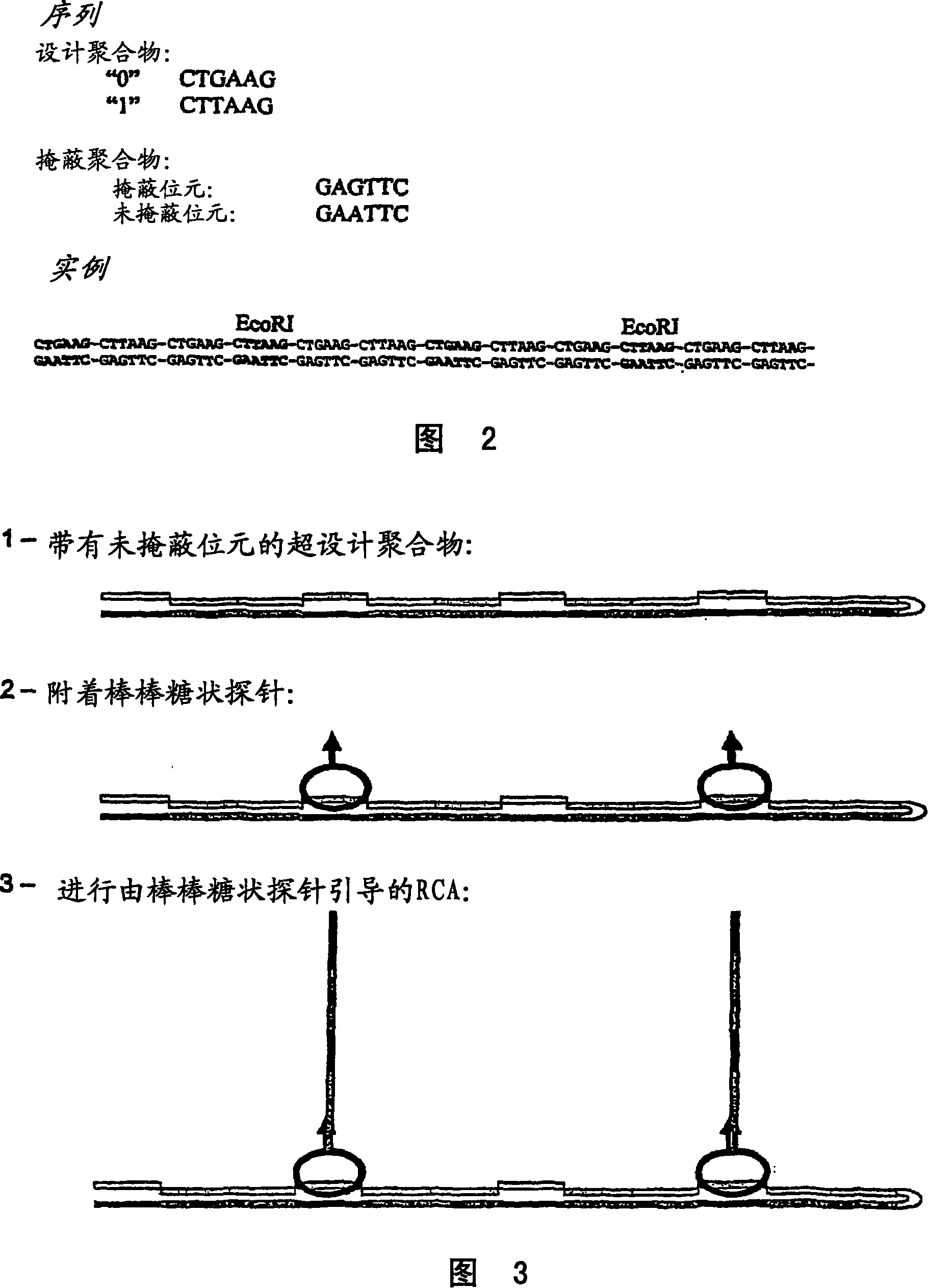 Method for preparing polynucleotides for analysis