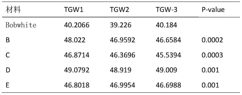 Wheat proline-rich protein Tazmh122, coding gene and application thereof