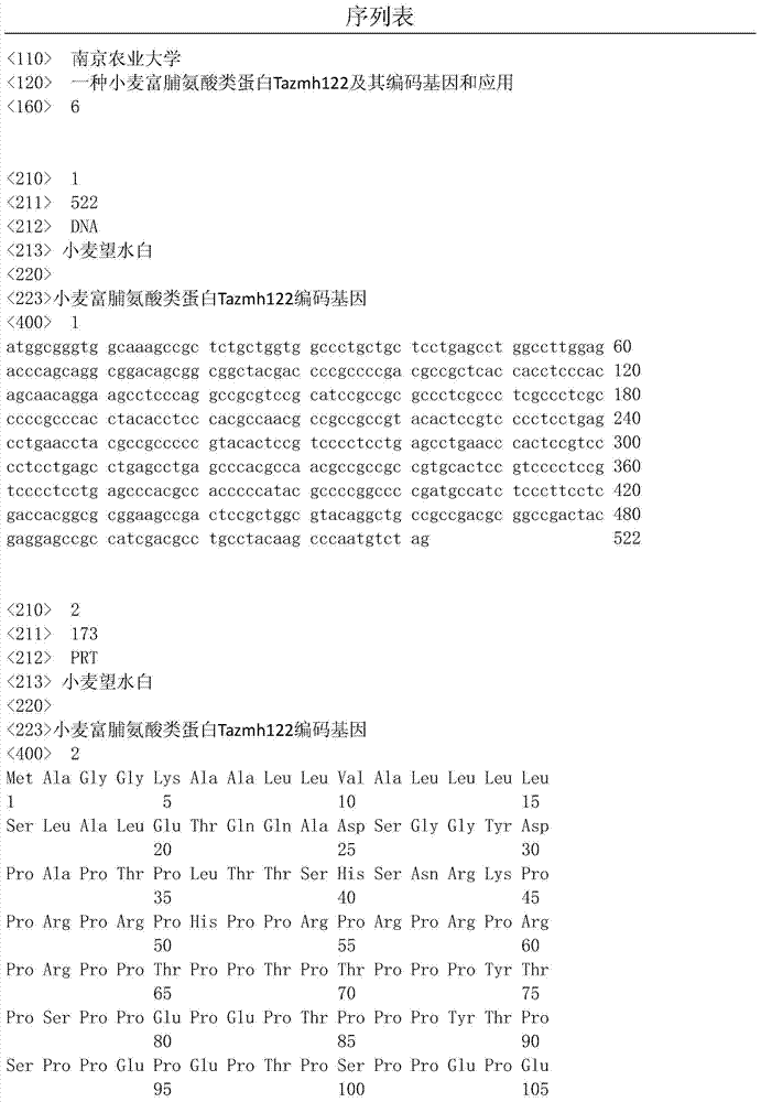 Wheat proline-rich protein Tazmh122, coding gene and application thereof