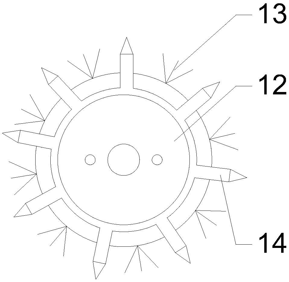 Reciprocating vertical lotus root washing device