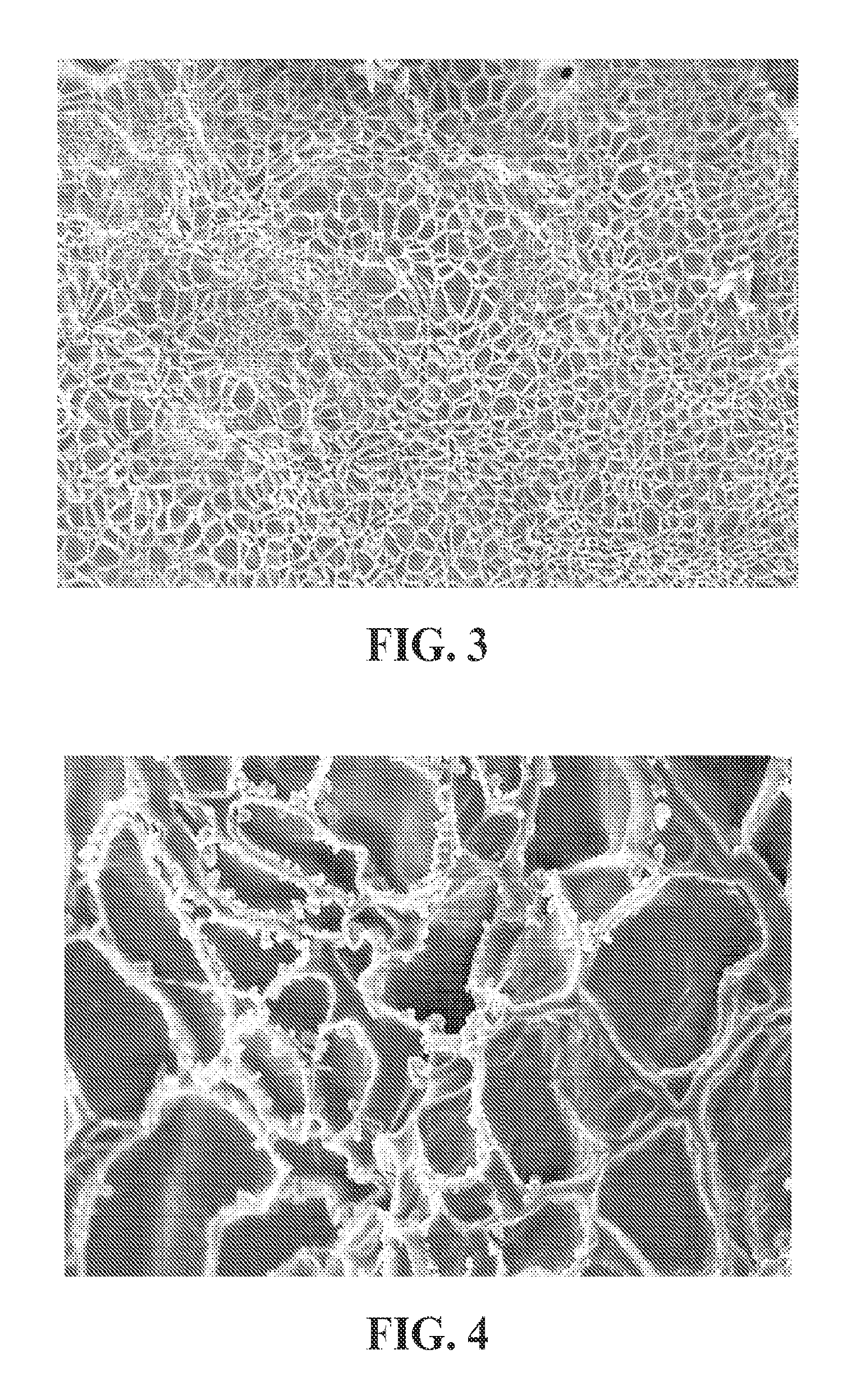 Compositions and methods for reducing oxidative damage