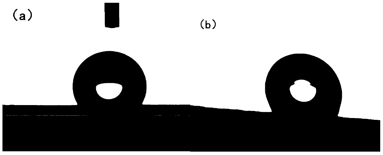 Titanium alloy super hydrophobic-super hydrophilic surface and preparing method and application of titanium alloy super hydrophobic-super hydrophilic surface