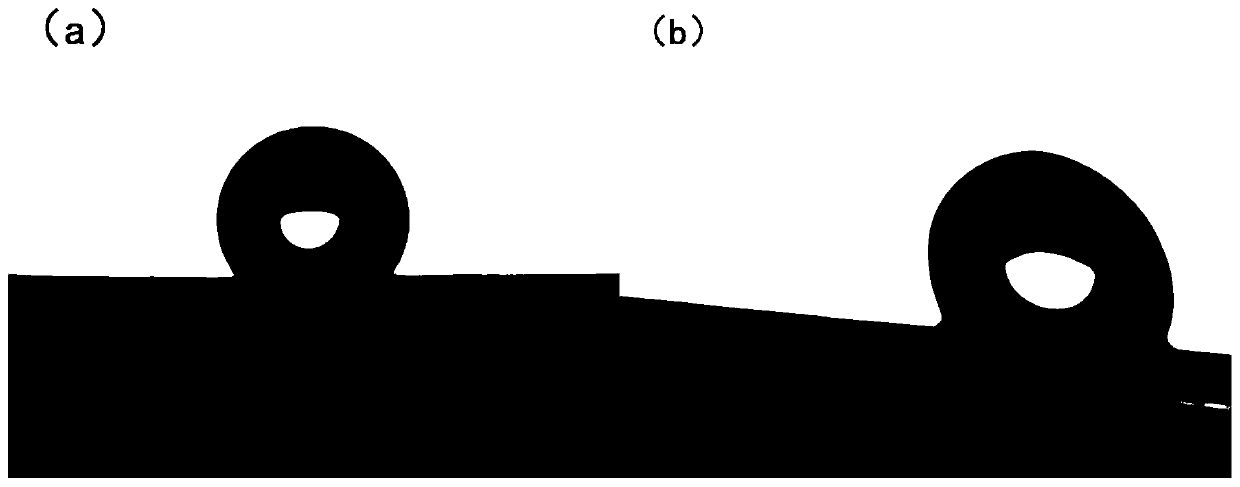 Titanium alloy super hydrophobic-super hydrophilic surface and preparing method and application of titanium alloy super hydrophobic-super hydrophilic surface