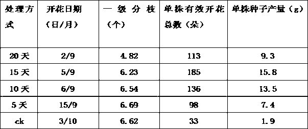 Method for promoting morning glory to bloom and seed