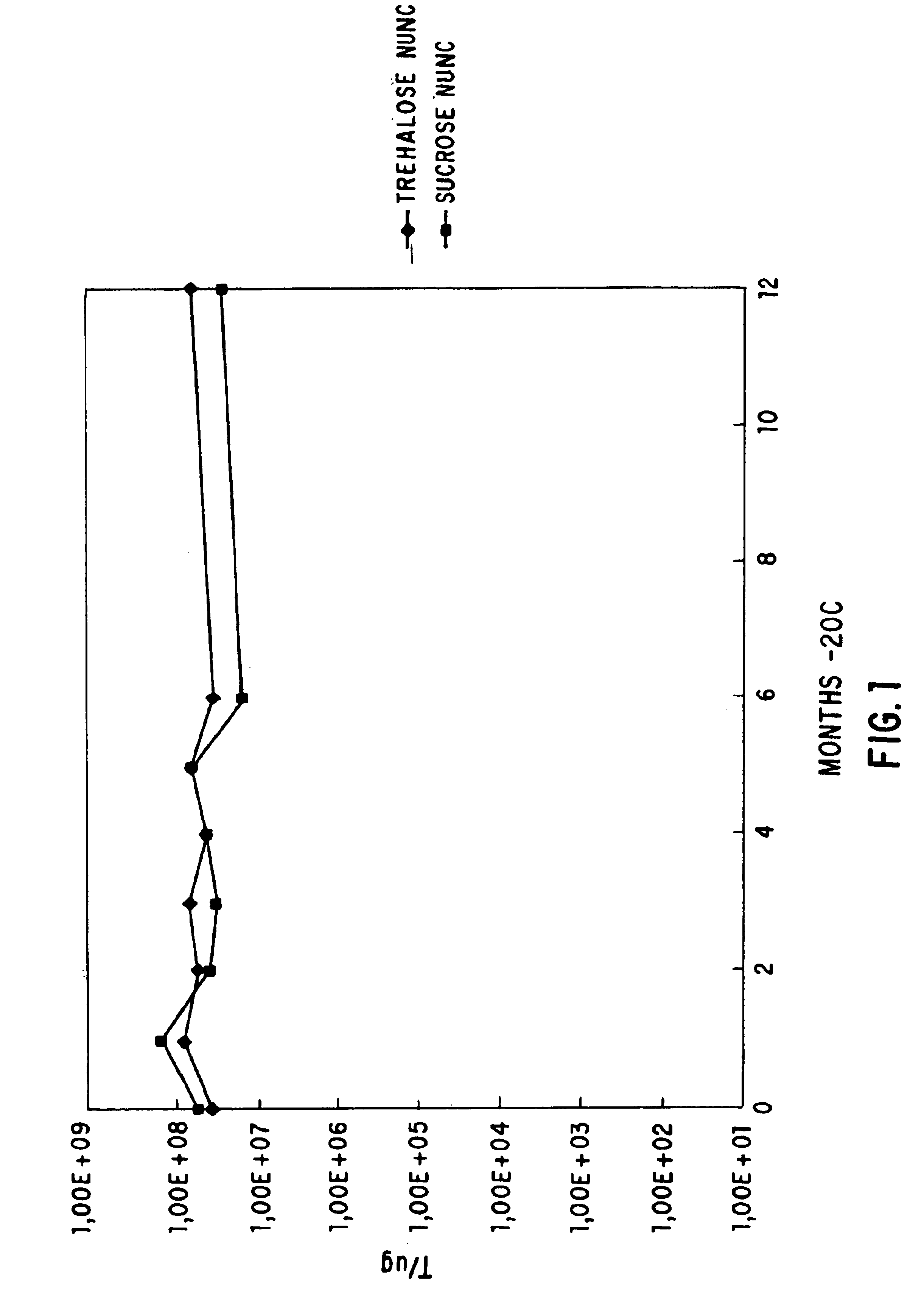 Methods for lyophilizing competent cells