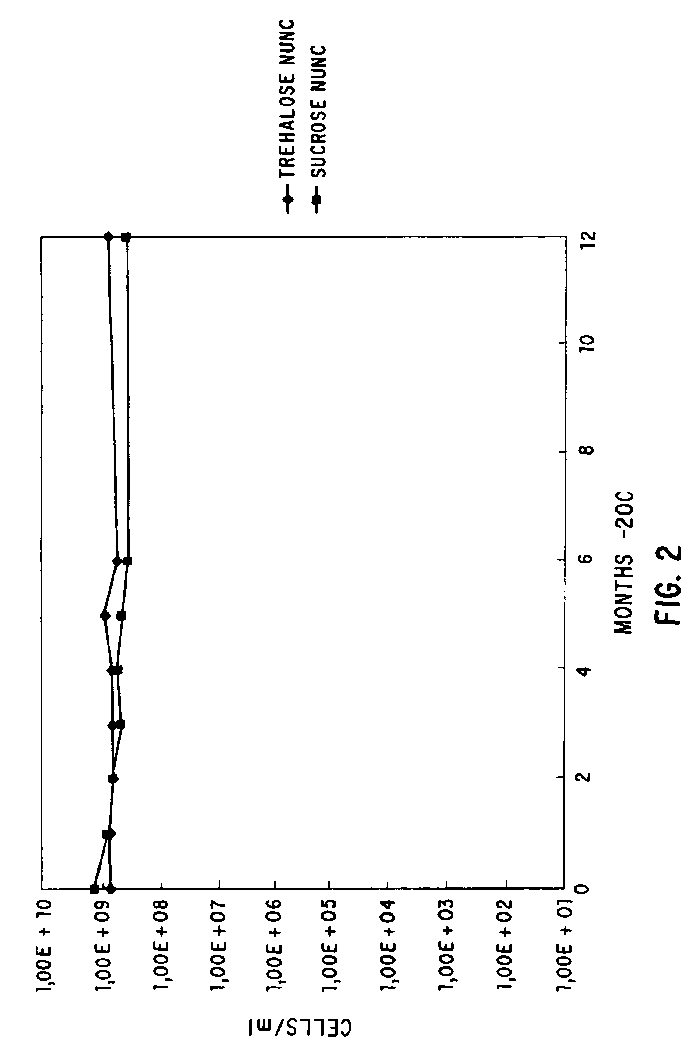 Methods for lyophilizing competent cells