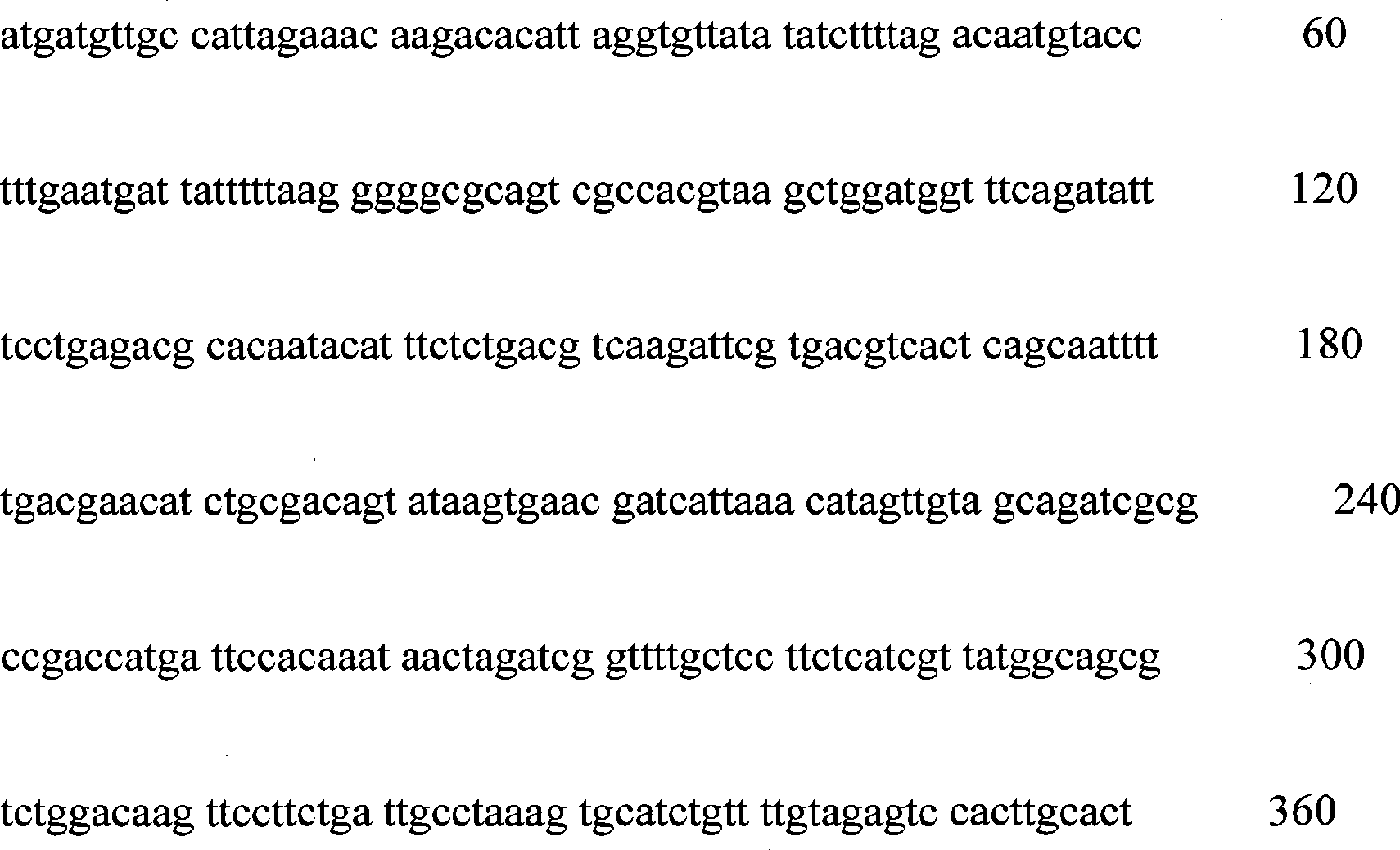 Method for producing recombinant sea cucumber antalzyme and recombinant sea cucumber antalzyme produced thereby